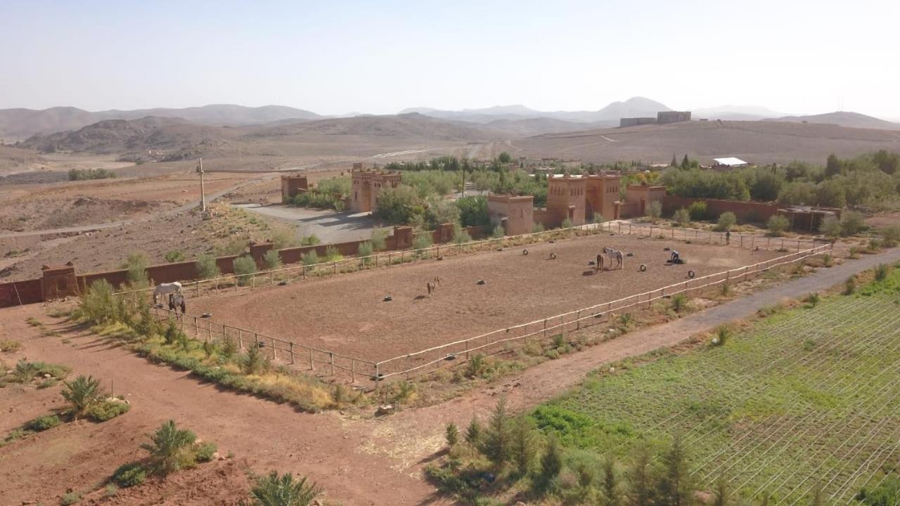 Dar Alfourssane Ferme D'Hote Ouarzazate Buitenkant foto